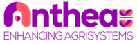 Anthea